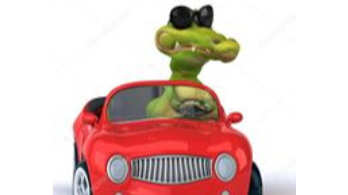 BJ & Gator’s Driving School