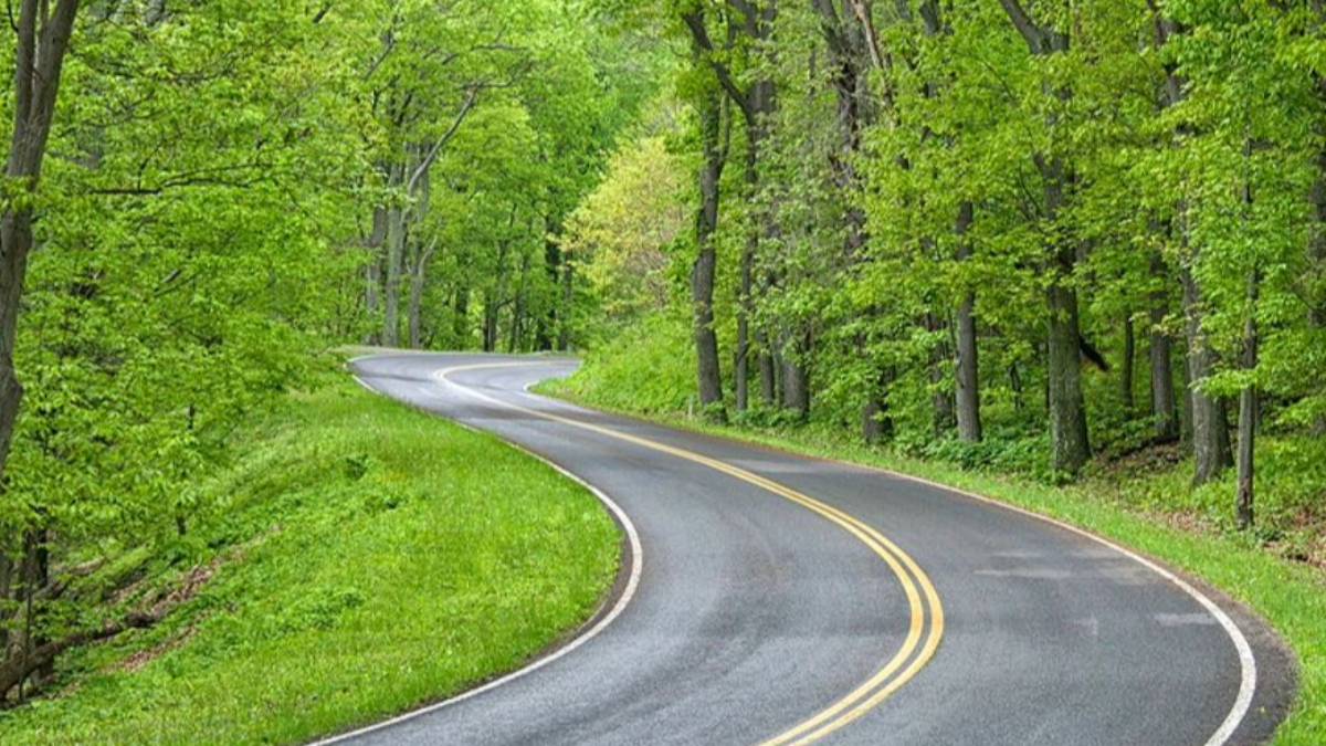 Ashburn Driving School LLC