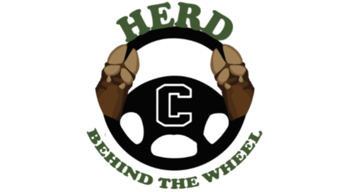 Herd Behind-the-Wheel Driving School