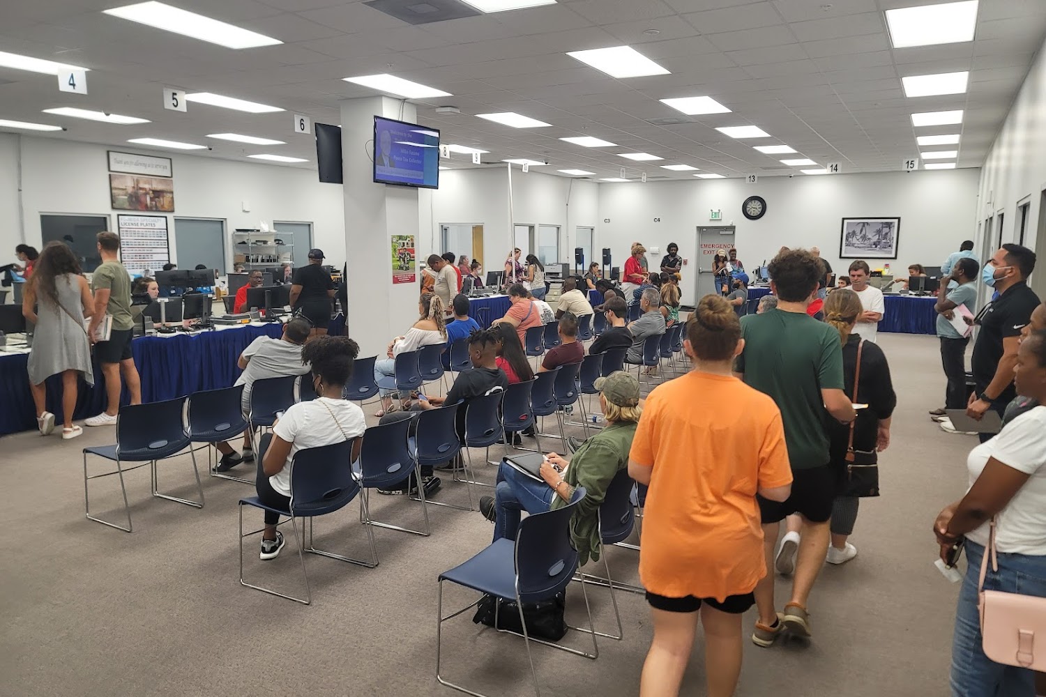 Wesley Chapel Driver License & Vehicle Registration in Lutz, FL