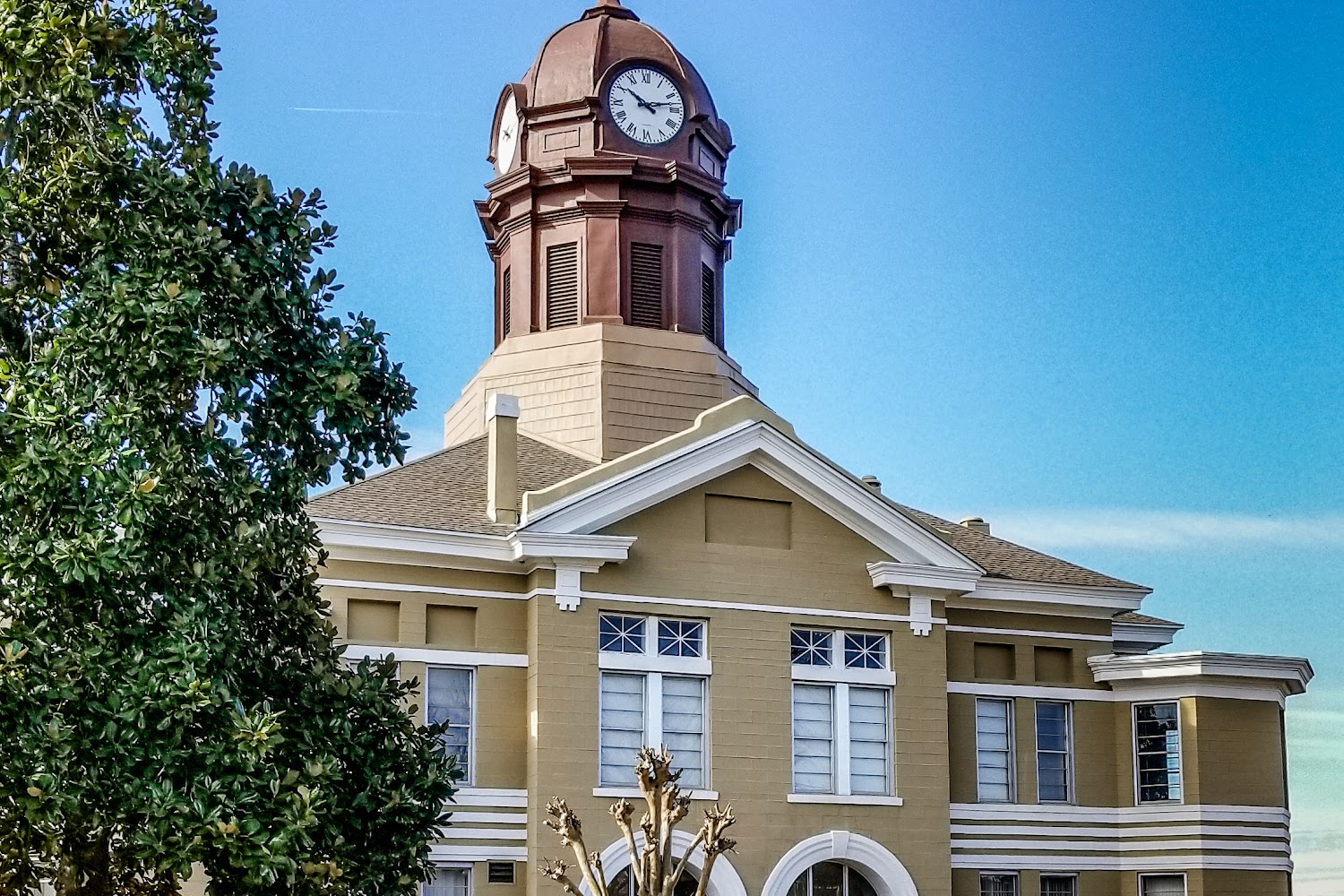 Registration & Title Office in Hazlehurst, GA