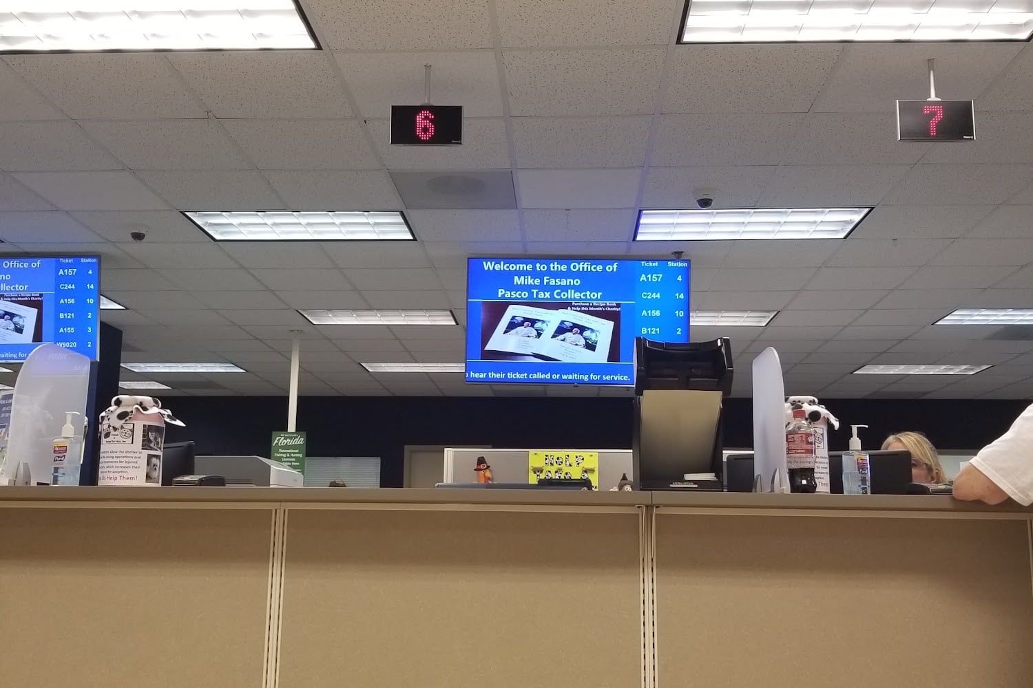 Driver License & Motor Vehicle Services in New Port Richey, FL