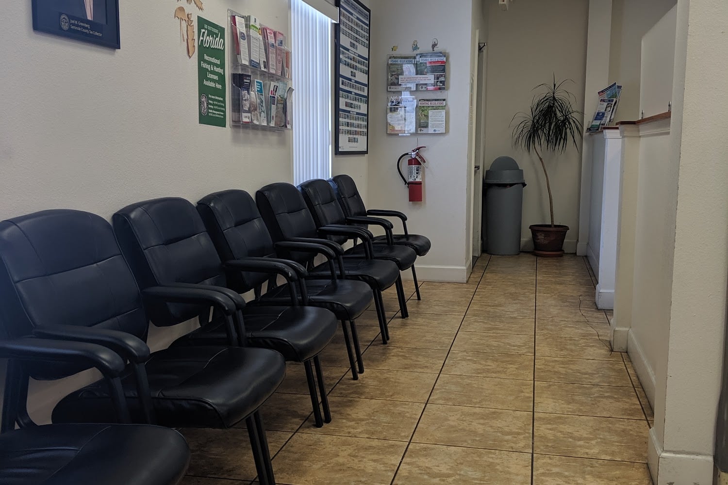 Motor Vehicle Services in Oviedo, FL