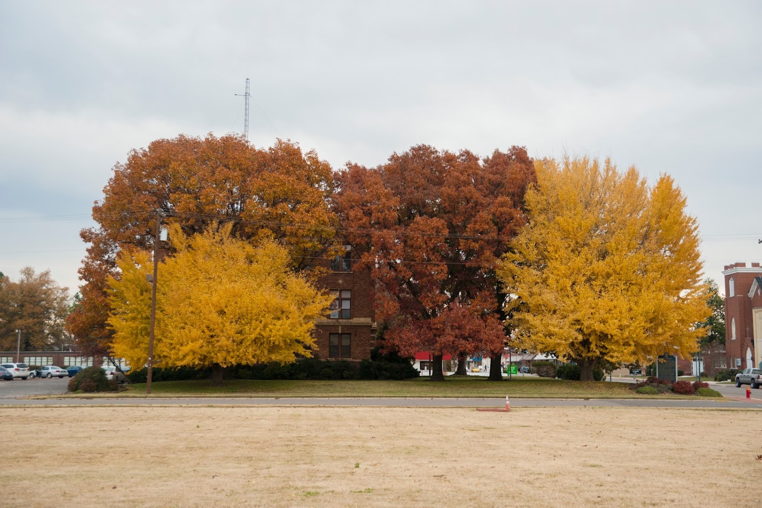 Driver License & Vehicle Registration Office in Caruthersville, MO