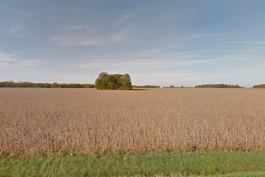 Deputy Registrar License Agency in Bryan, OH