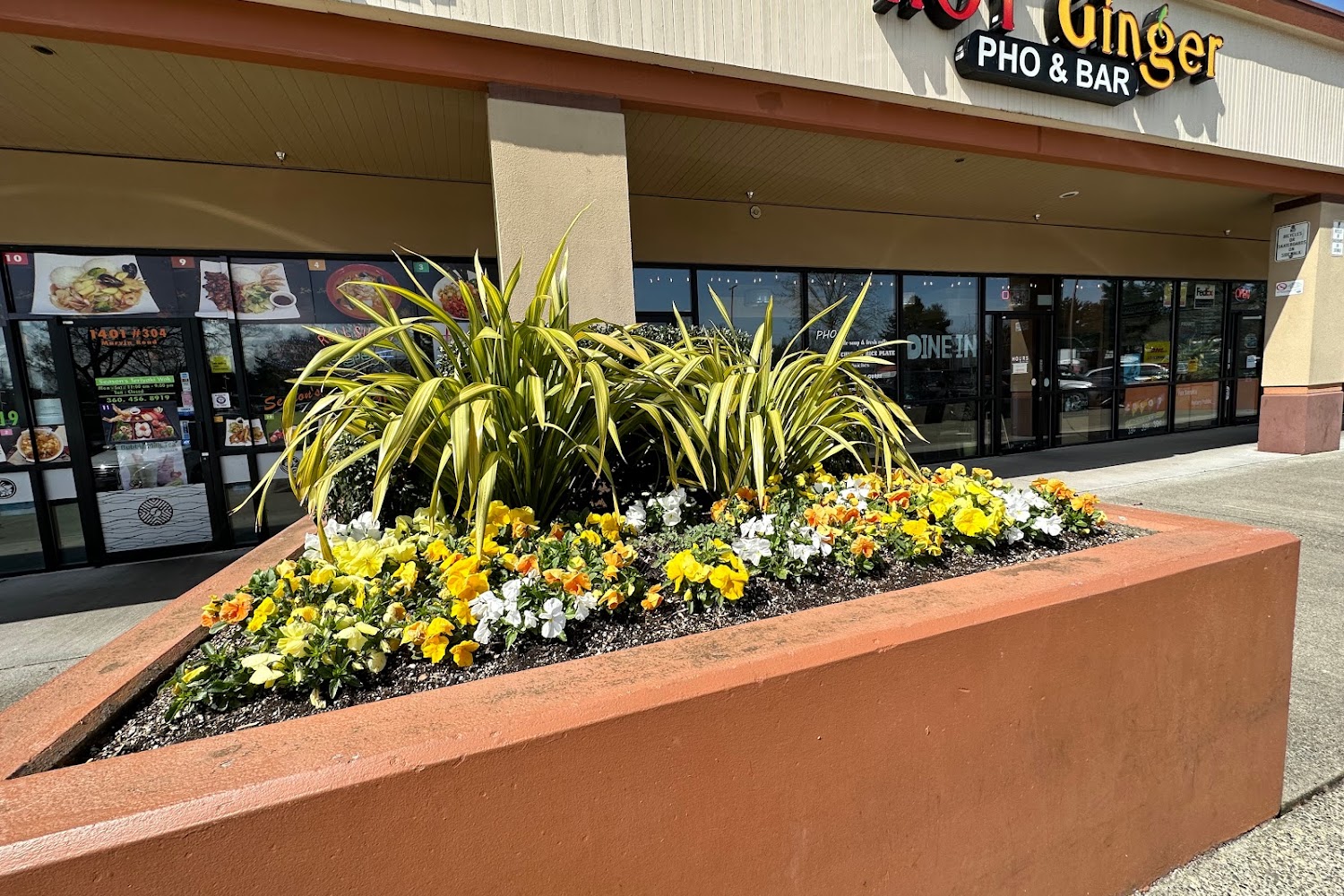Hawk's Prairie Licensing (Registration & Titling) in Lacey, WA
