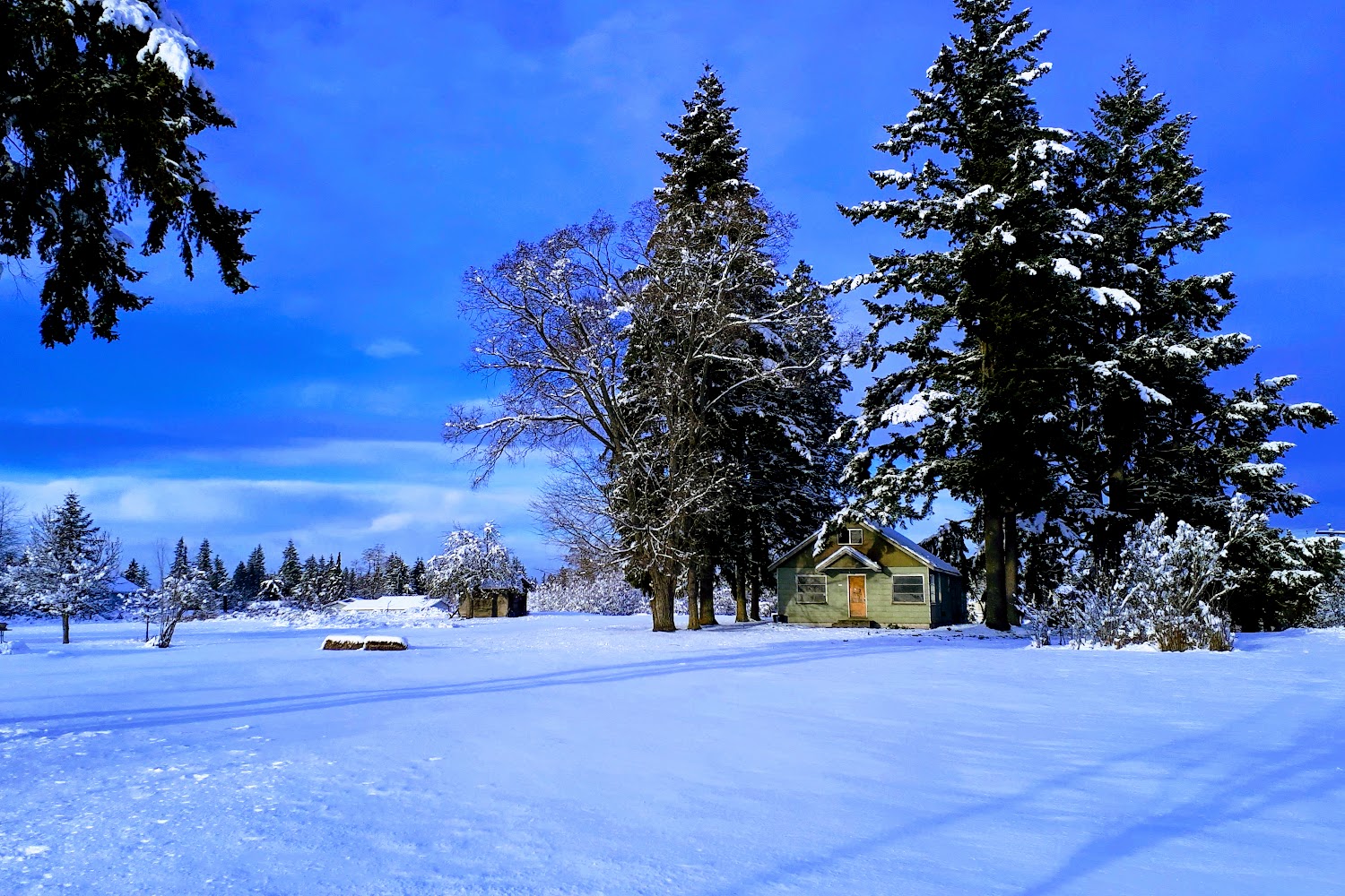 Vehicle Registration & Title in Yelm, WA