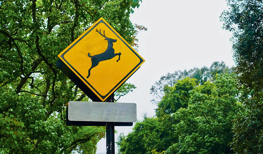 Street context for this traffic sign